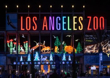 001 ZooLights23 Pride Night Jamie Pham